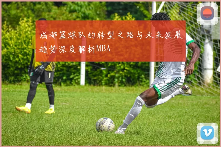 成都篮球队的转型之路与未来发展趋势深度解析MBA