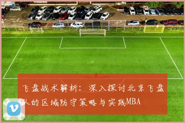 飞盘战术解析：深入探讨北京飞盘队的区域防守策略与实践MBA
