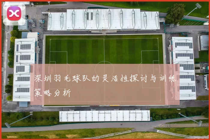深圳羽毛球队的灵活性探讨与训练策略分析