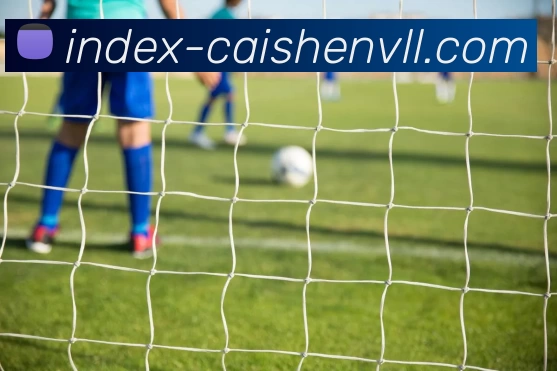 彩神vll 官网APP 封面图